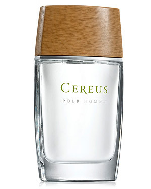 Cereus No. 4