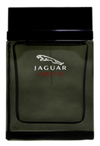 Jaguar Vision 3