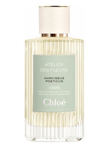 Chloe Narcissus Poeticus